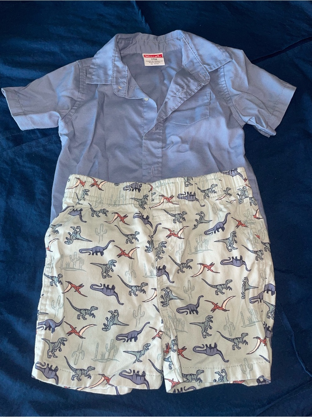 Wrangler Boys Light Blue Shirt and Dinosaur Print Shorts Matching Set